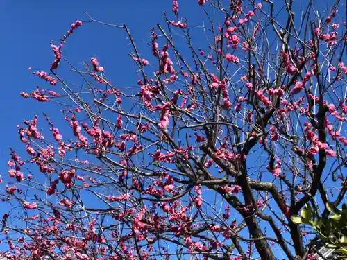大國魂神社(東京都)