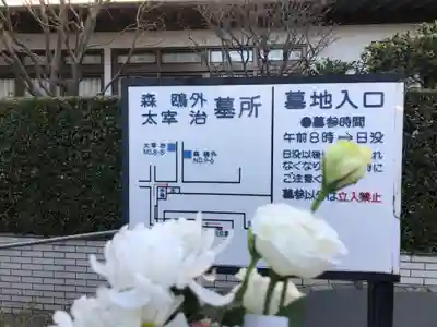 禅林寺のその他建物