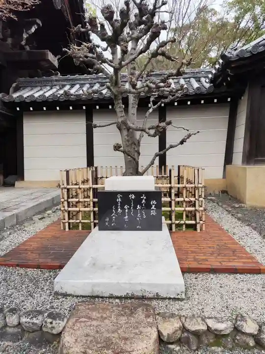 大雲院(京都府)