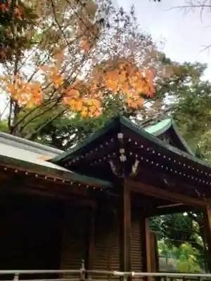 渋谷氷川神社(東京都)