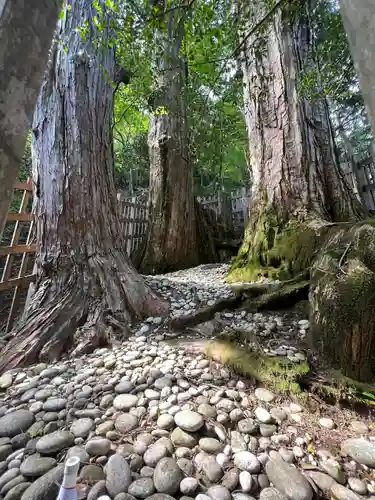 玉置神社(奈良県)