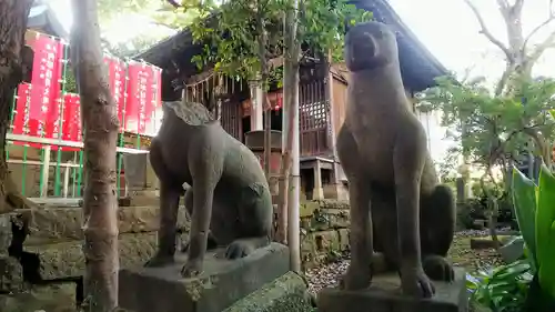 品川神社の狛犬