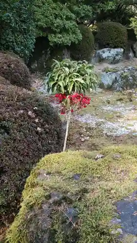 三室戸寺(京都府)