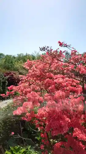 相馬神社の庭園