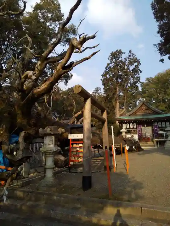 賀茂神社のその他建物