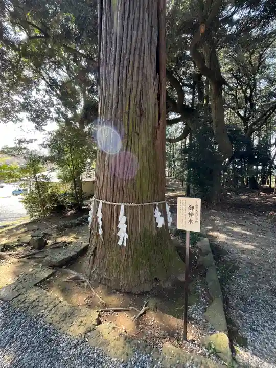 間々田八幡宮(栃木県)