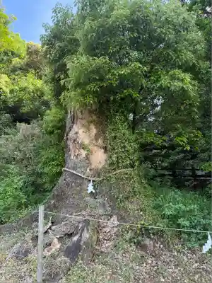 米之宮浅間神社(静岡県)