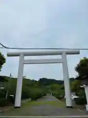 安房神社(千葉県)