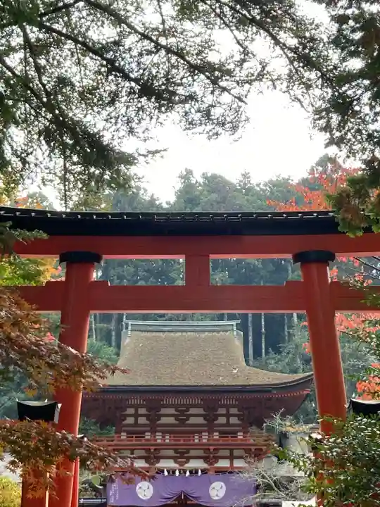 丹生都比売神社(和歌山県)