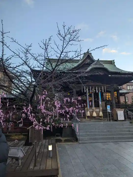 桜神宮(東京都)