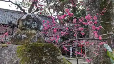 北野天満宮(京都府)