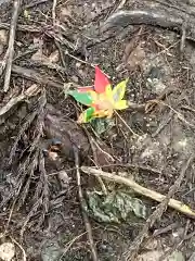 戸隠神社宝光社の自然