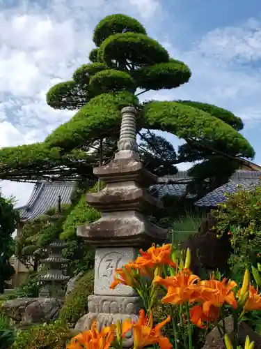 松応寺の塔