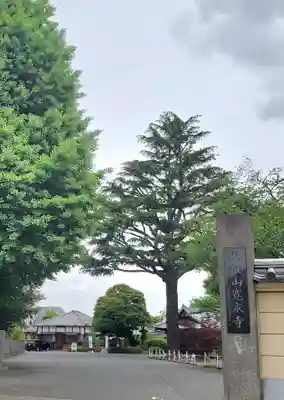 寛永寺(根本中堂)(東京都)