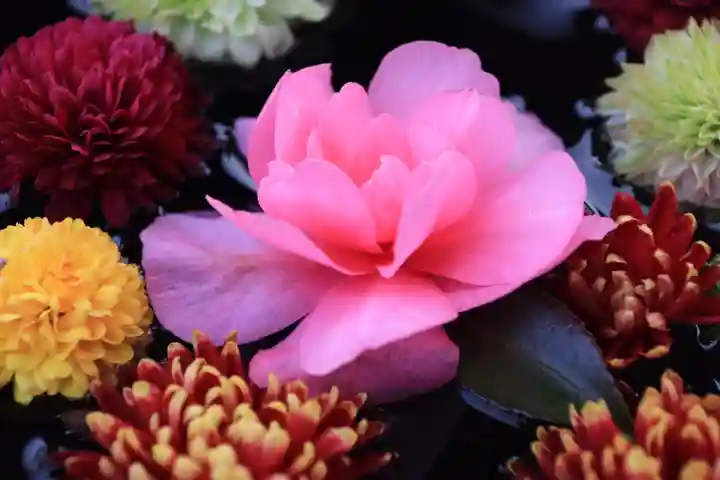 大鏑神社の手水舎