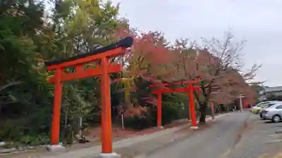 竹中稲荷神社(吉田神社末社)の鳥居