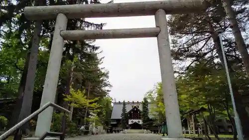 上川神社の鳥居