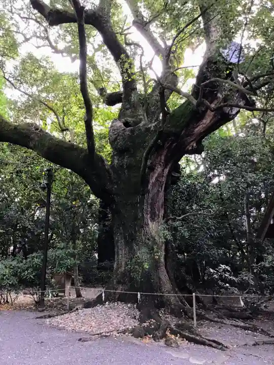 月夜見宮(豊受大神宮別宮)の自然
