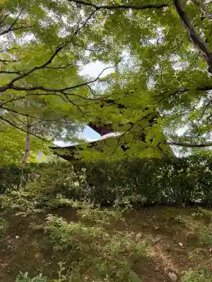 常寂光寺(京都府)