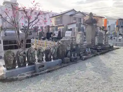 長善寺(神奈川県)