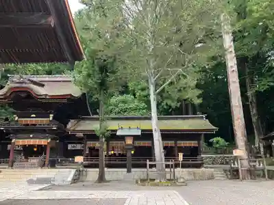 諏訪大社下社秋宮(長野県)