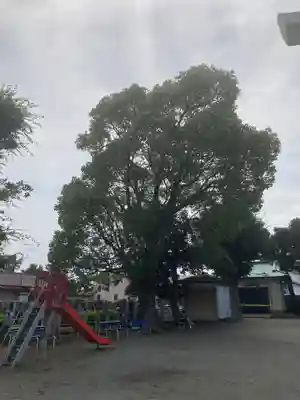 本社宮(神奈川県)