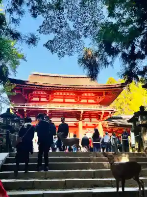 春日大社(奈良県)