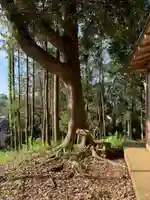 愛宕神社(千葉県)