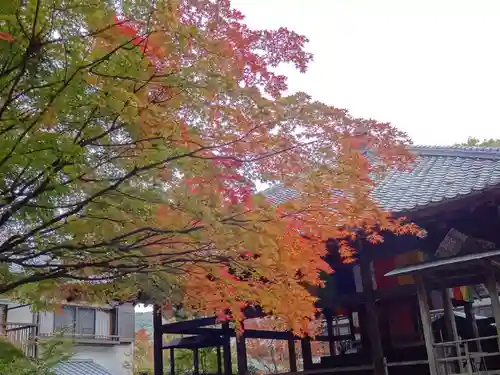 秩父札所１番　四萬部寺の本殿・本堂