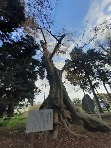 鹿島神社(茨城県)
