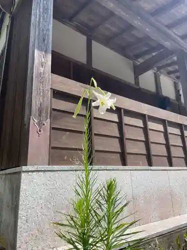 国上寺(新潟県)