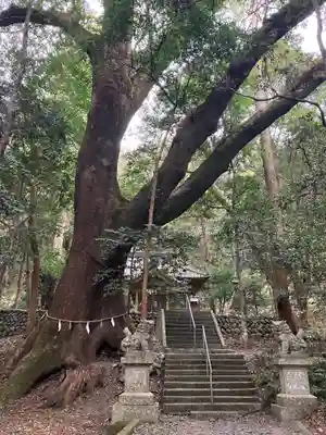 豊浦神社(三重県)