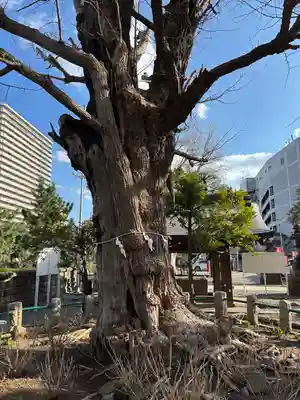 磐井神社(東京都)