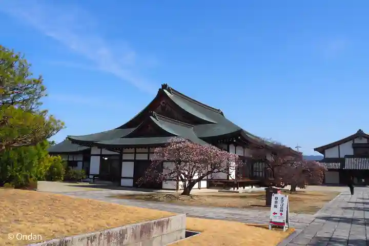 薬師寺(奈良県)
