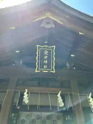 愛宕神社の本殿・本堂