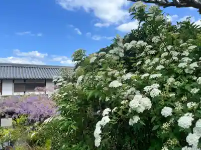 子安地蔵寺(和歌山県)