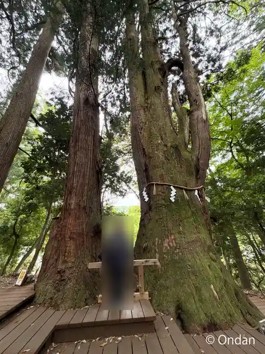 白山比咩神社(石川県)