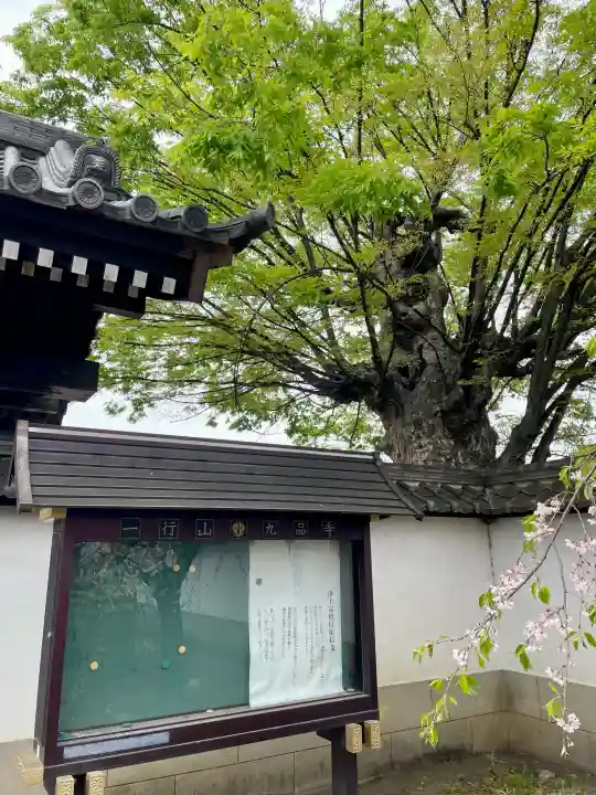 九品寺の{uncategorized: "未分類", other: "その他", undefined: "問題あり", building: "その他建物", grave: "お墓", sacred_gate: "鳥居", guardian: "狛犬", statue: "像", buddha: "仏像", history: "歴史", nature: "自然", garden: "庭園", animal: "動物", pagoda: "塔", temizu: "手水舎", mountain_gate: "山門・神門", sanctuary: "本殿・本堂", subordinate: "末社・摂社", art: "芸術", scenery: "景色", jizo: "地蔵", ema: "絵馬", goshuin: "御朱印", omikuji: "おみくじ", items: "授与品その他", amulet: "お守り", goshuincho: "御朱印帳", eats: "食事", festival: "お祭り", votive_dance: "神楽", shichigosan: "七五三参", wedding: "結婚式", experience: "体験その他", initially: "初詣", around: "周辺", anti_infection: "感染症対策"}