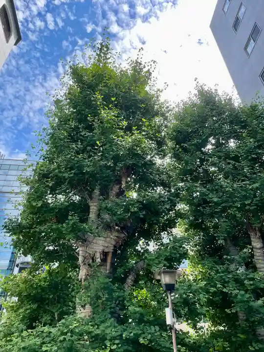 誕生八幡神社(東京都)
