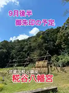 糀谷八幡宮(埼玉県)(2024年09月13日(金) 08時32分59秒投稿)