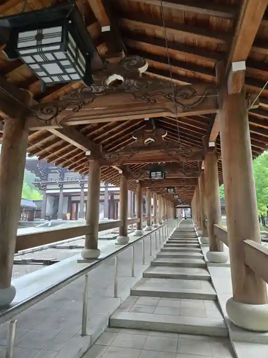 清大寺(越前大仏)(福井県)