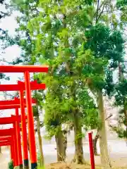 神谷稲荷神社の建物その他