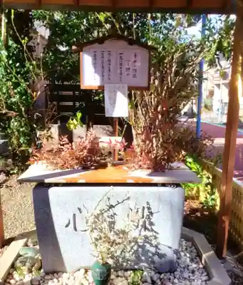 猿田彦神社(東京都)
