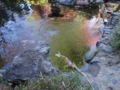 感通寺の庭園