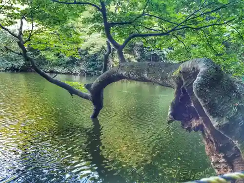 善宝寺の庭園