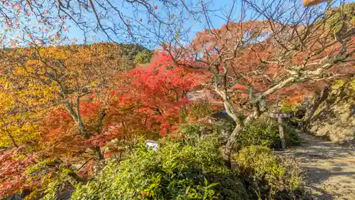 善峯寺(京都府)