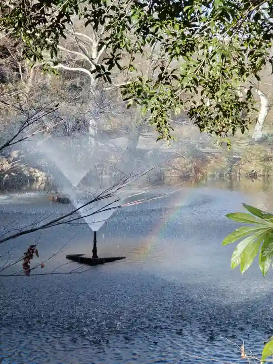 井の頭弁財天(大盛寺)の庭園