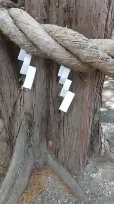 常陸第三宮 吉田神社(茨城県)