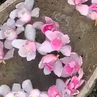 京都祇園堂(廃寺?)の手水舎