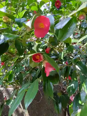 八大龍王水神(宮崎県)